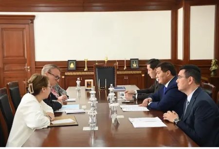 Аймақ басшысы Дүниежүзілік Денсаулық сақтау ұйымының өкілдерімен кездесті